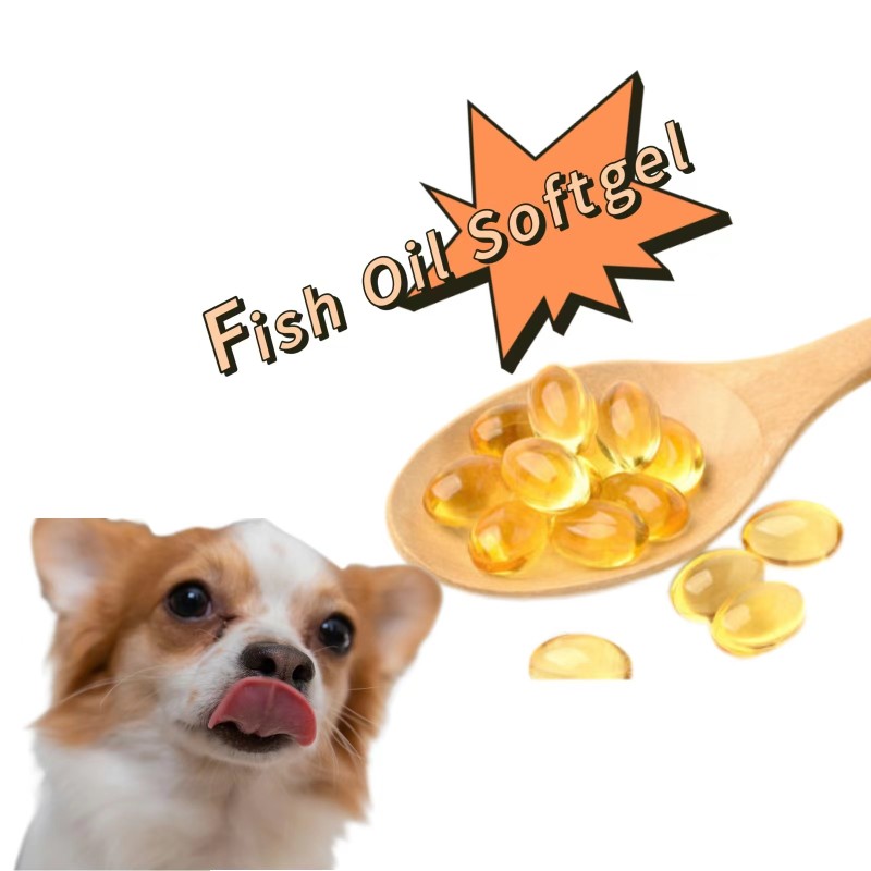 Immunity Supplement Supplier - Wholesale Fish Oil Capsules