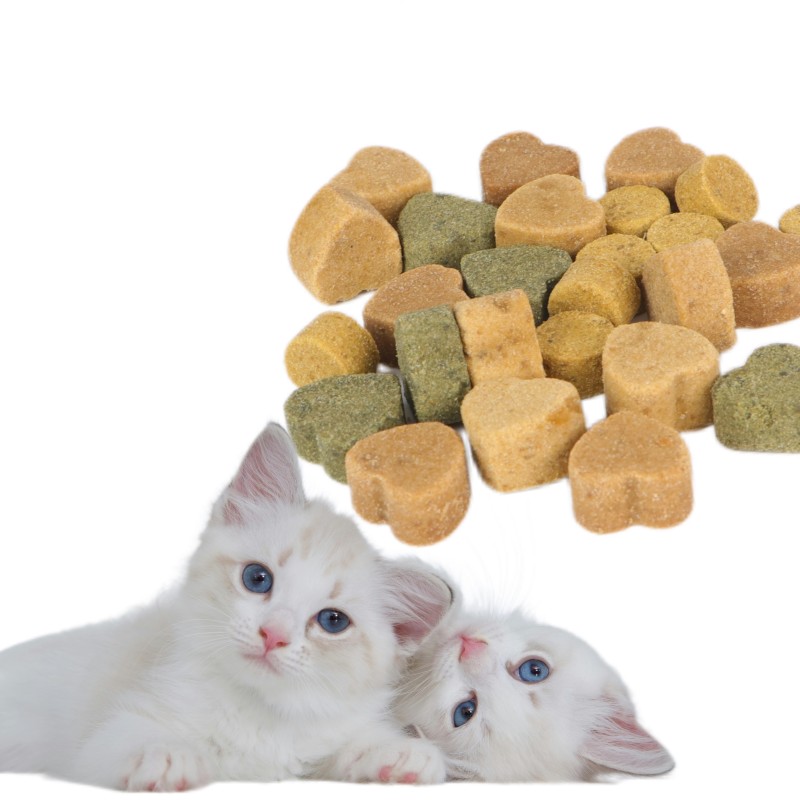 Pet Multivitamin Manufacturer - Custom 11 in 1 Chews