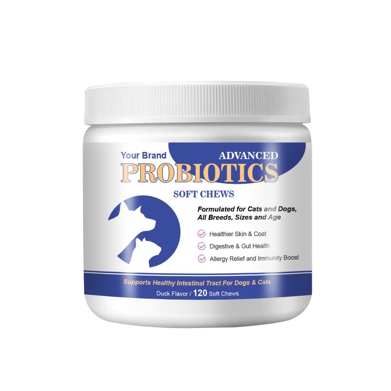 Probiotics Soft Chews Manufacturer - Private Brand Immune