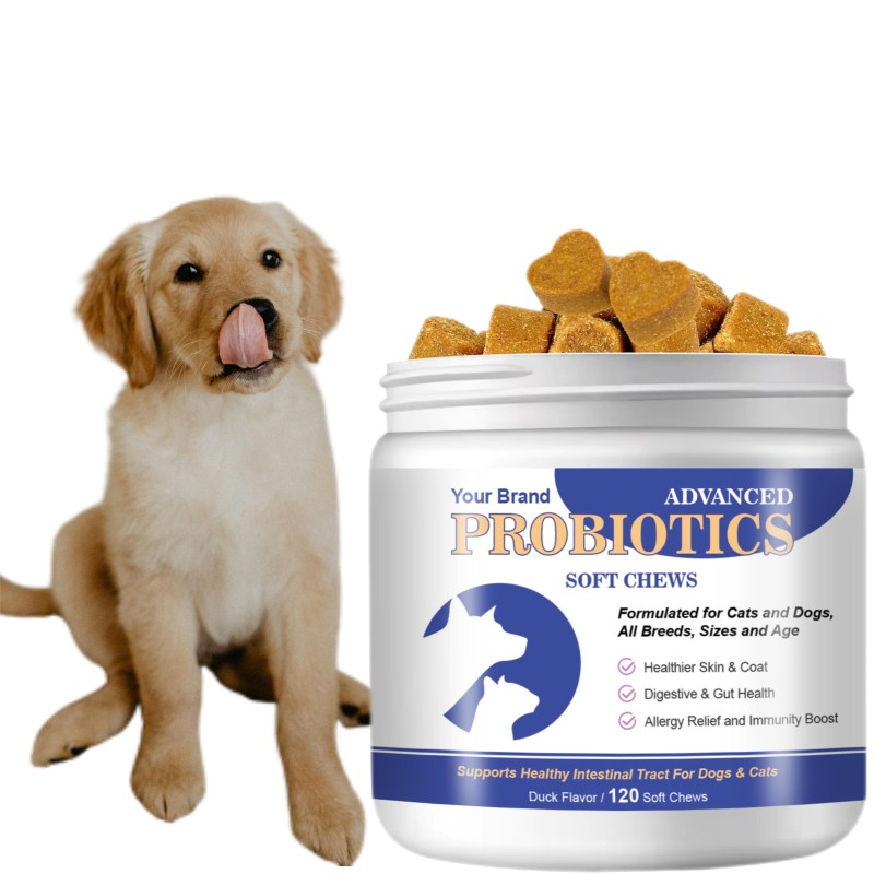 Probiotics Soft Chews Factory - Wholesale Custom Digestive