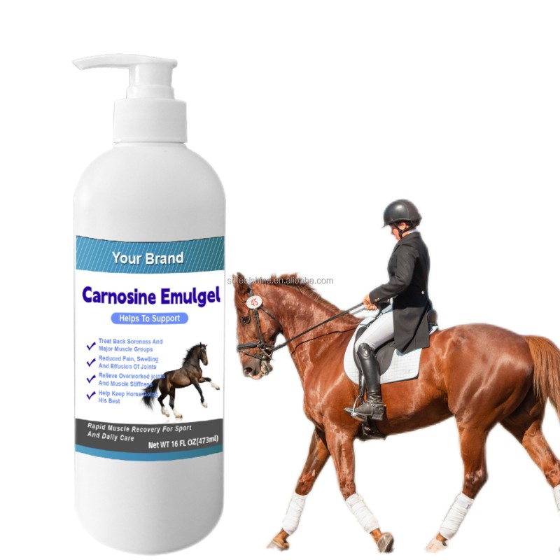 Horse Joint Health Supplier - Veterinarian Carnosine Emulgel