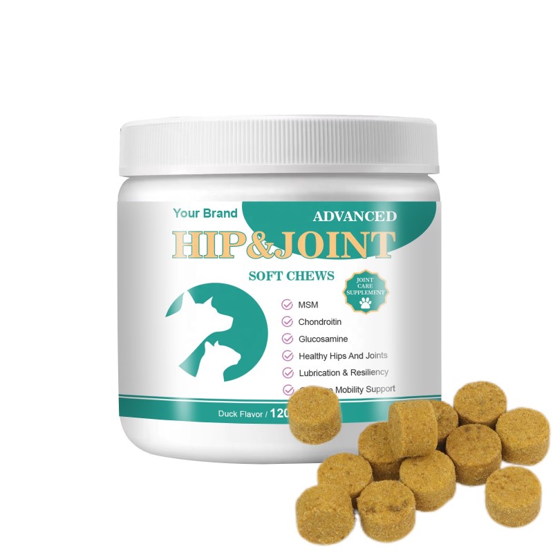 Probiotics Soft Chews Manufacturer - Private Brand Immune