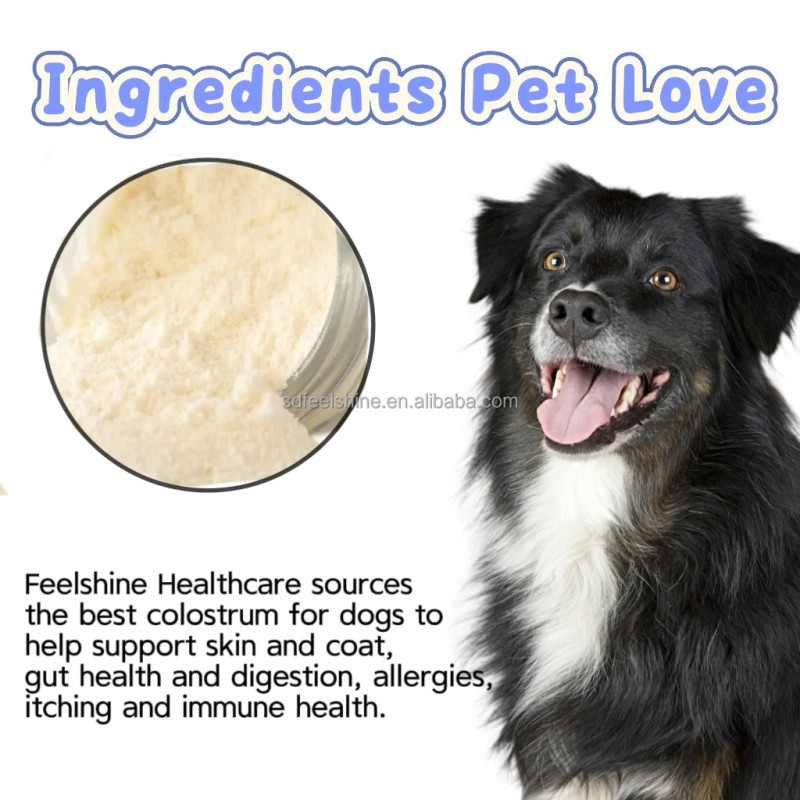Pet Immune Powder Supplier - Bovine Colostrum Probiotics