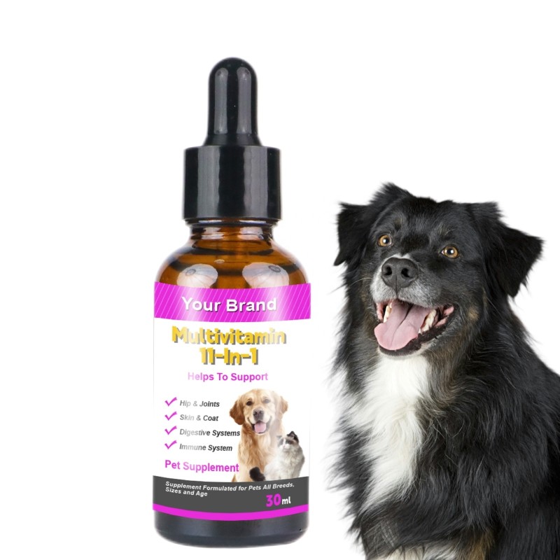 Pet Vitamins Liquid Manufacturer - Glucosamine Multivitamin