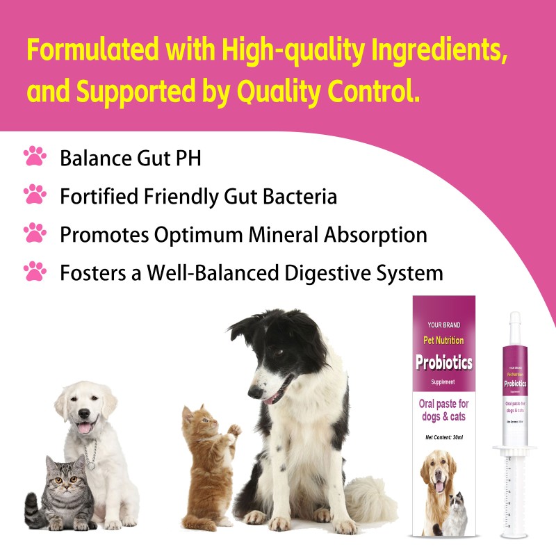 Nutritional Probiotic Gel Factory - Private Label Digestive
