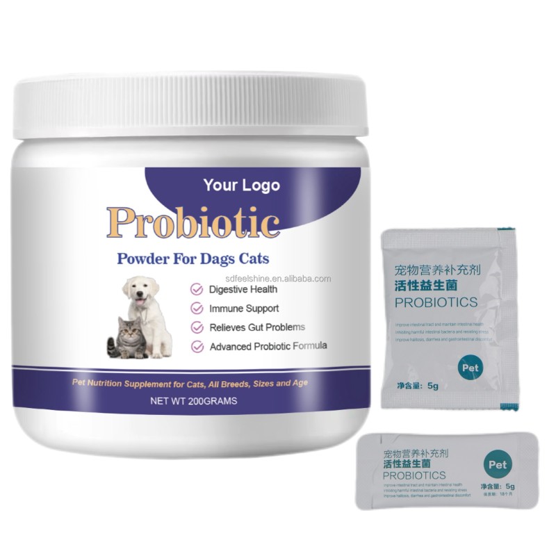 Probiotics Powder Factory - Natural Digestive Immune