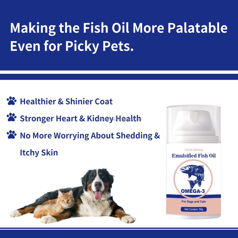 Omega 3 Fish Oil Supplier - Wholesale Creamy Snacks