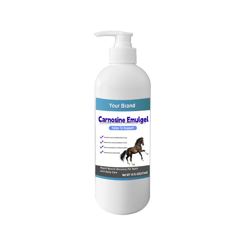Equine Joint Gel Supplier - Veterinarian Soothing Knee