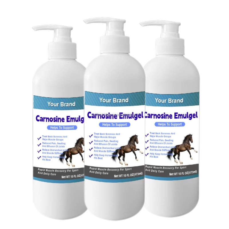 Equine Joint Gel Supplier - Veterinarian Soothing Knee