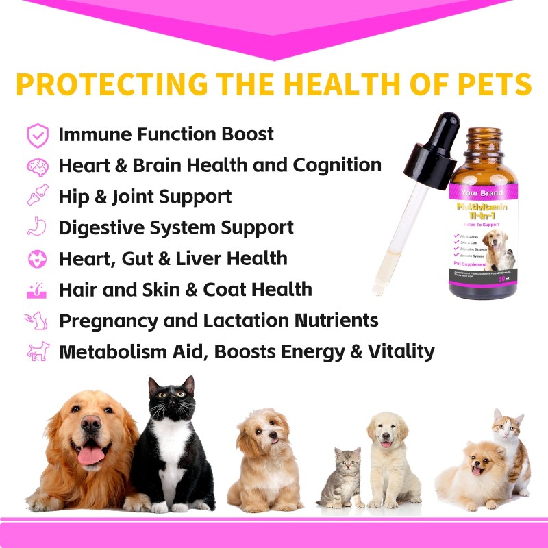 Pet Multivitamin Drops Supplier - All in One Liquid