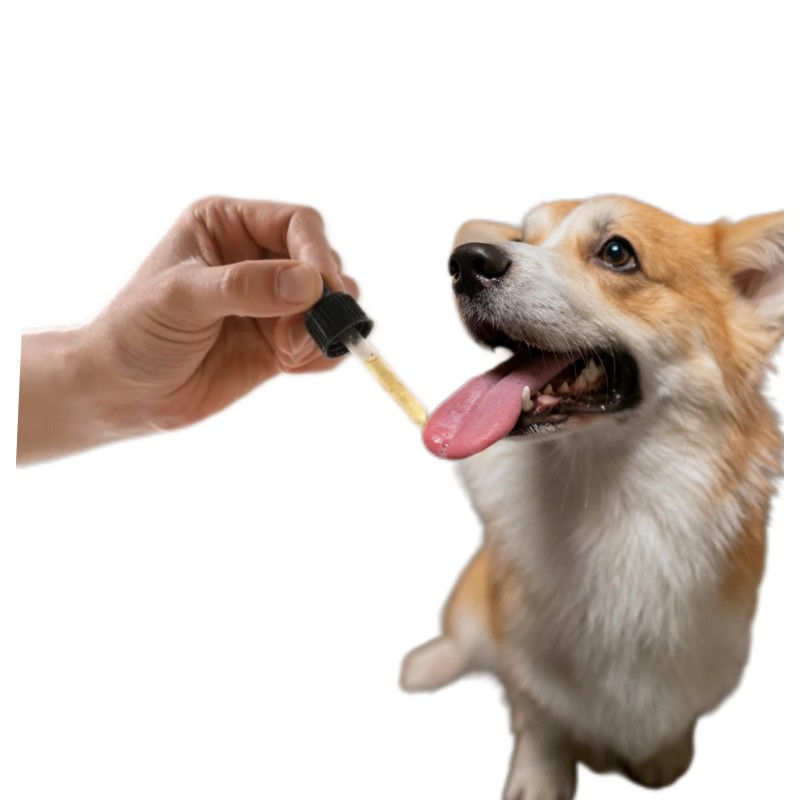 Pet Multivitamin Drops Supplier - All in One Liquid