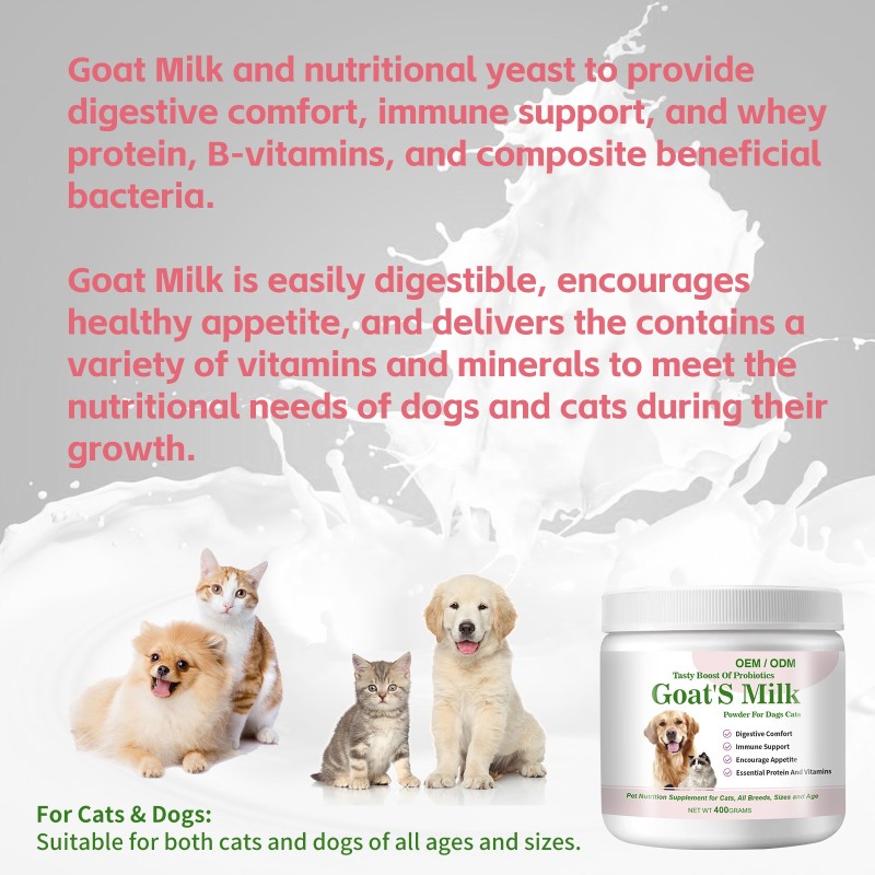 Goat Milk Powder Manufacturer - Private Label High Calcium