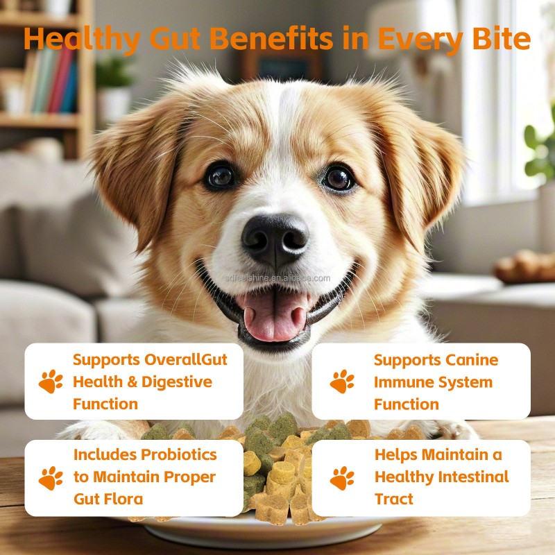 Dog Probiotic Chews Factory - OEM ODM Digestive Health