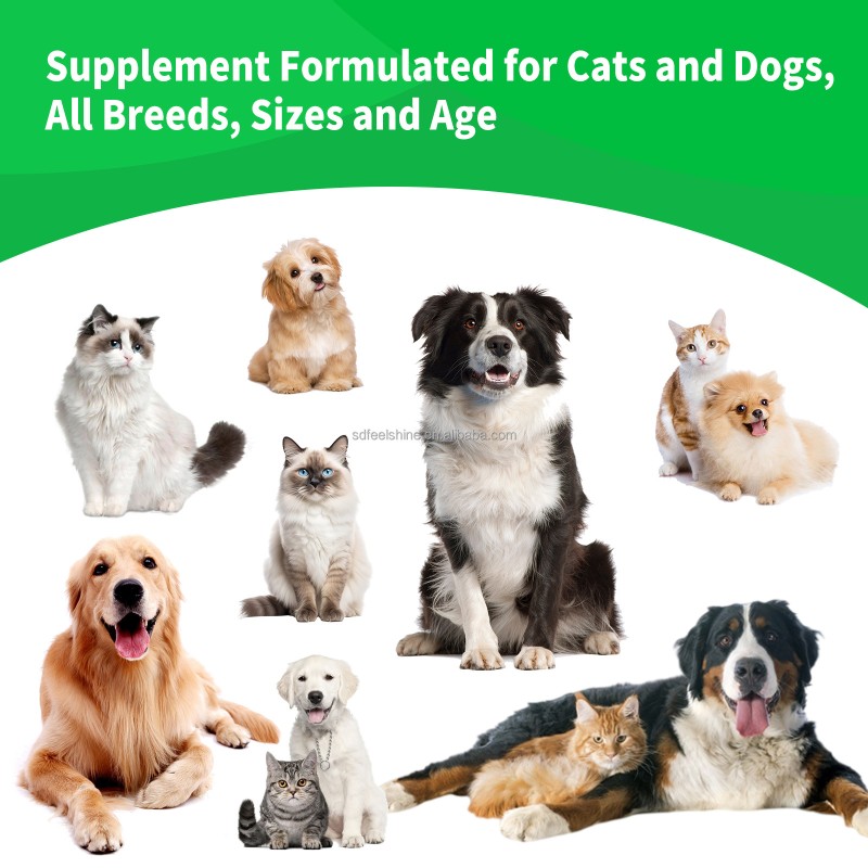 Probiotics for Dogs Factory - Chewable Tablets Digestive