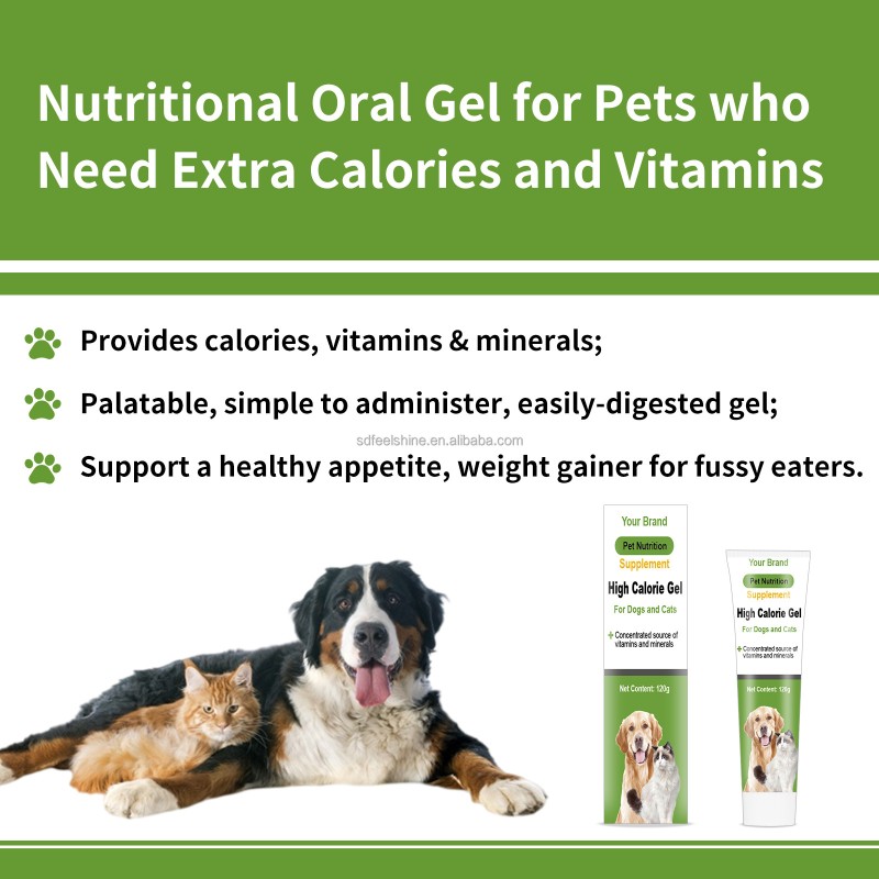 High Calorie Nutritional Gel Factory - Weight Gainer Booster