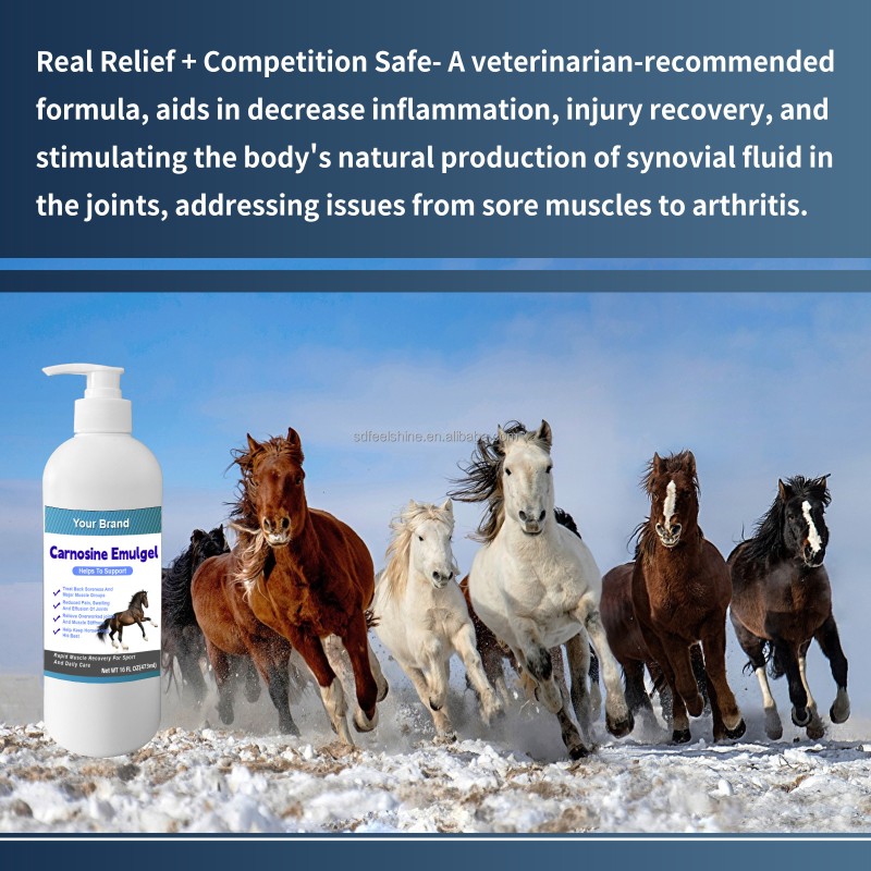 Equine Joint Gel Supplier - Veterinarian Soothing Knee