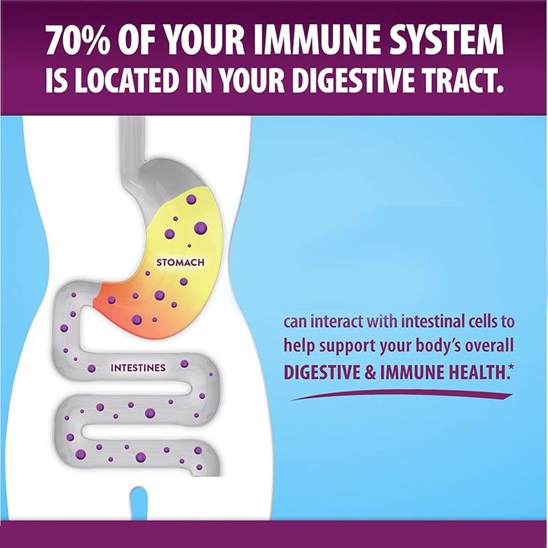 Probiotic Gummies Factory - OEM ODM Gut Health Digestive
