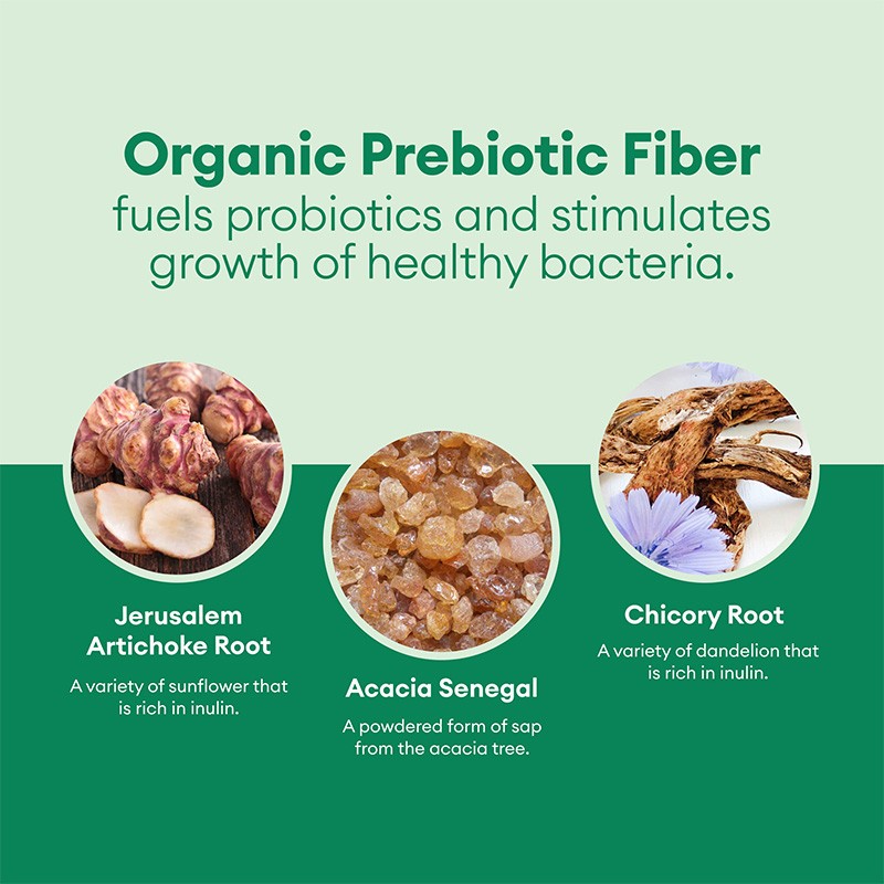 Probiotics Prebiotics Capsules Manufacturer - OEM Custom Weight Management