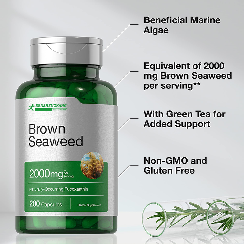 Brown Seaweed Extract Capsules Factory - OEM Custom Digestion Health