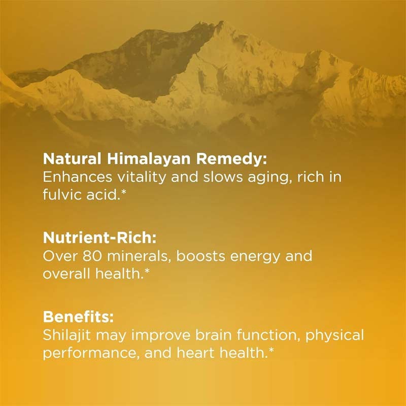 Shilajit Gummies Factory - OEM Custom Sugar Free Energy