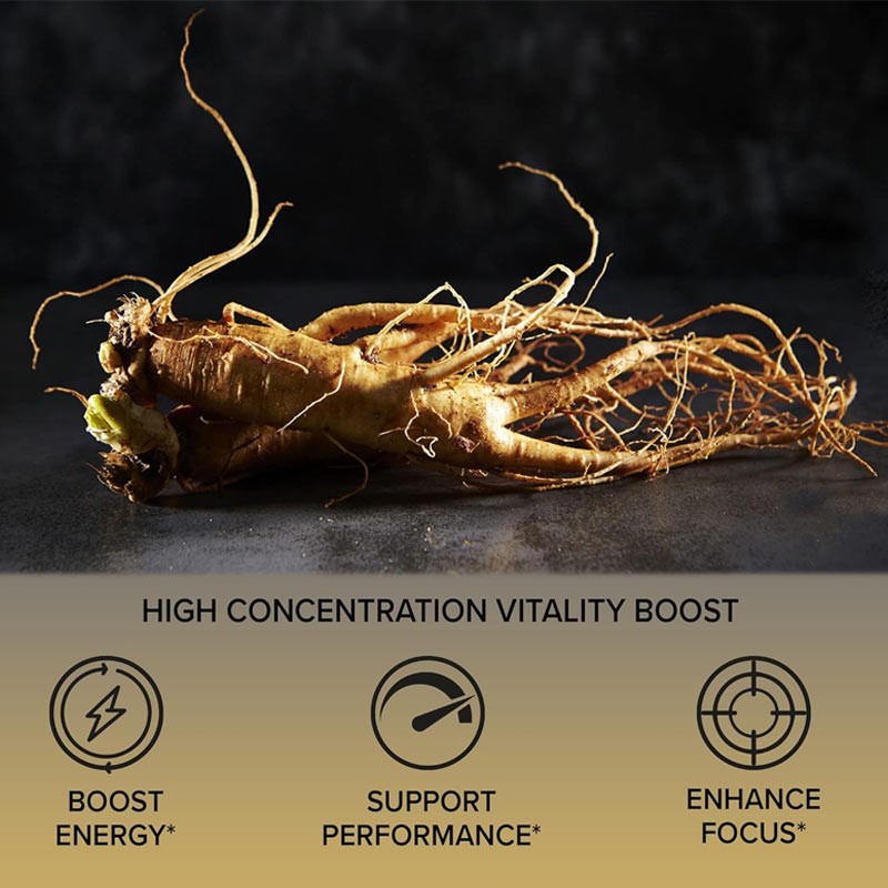 Natural Ginseng Pills Manufacturer - OEM Custom Energy Weight Gain