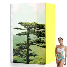 Natural Ginseng Pills Manufacturer - OEM Custom Energy Weight Gain