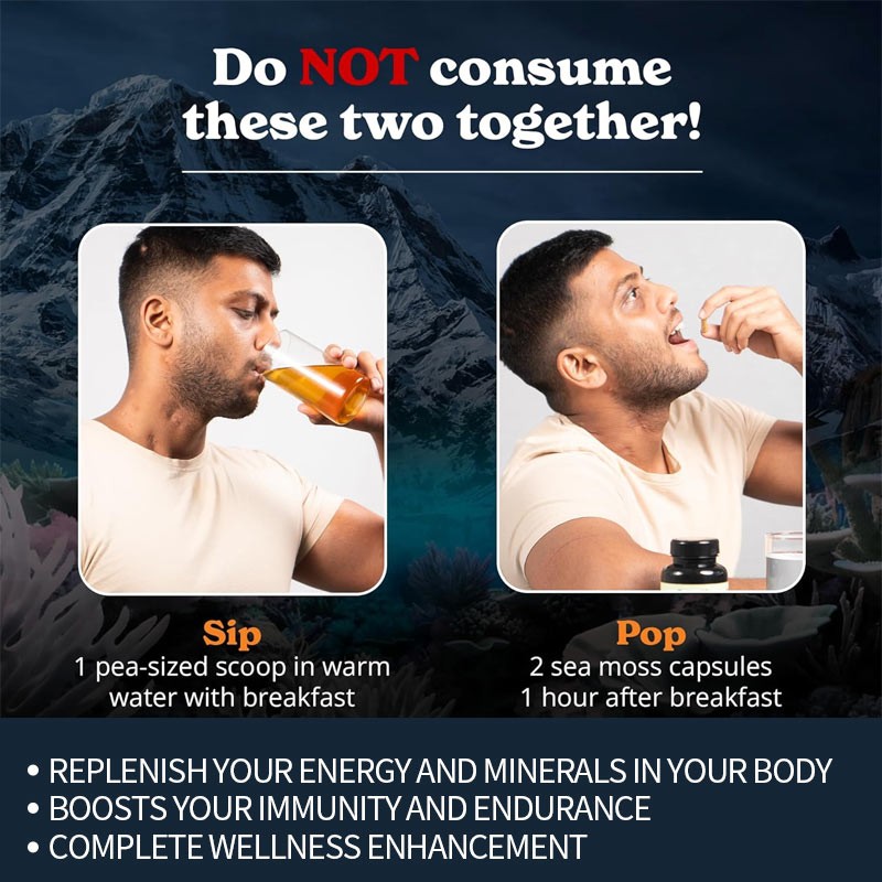 Shilajit Sea Moss Capsules Manufacturer - OEM Custom Black Seed Oil