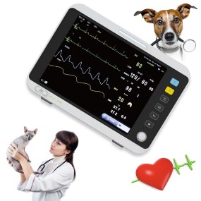 Pet Vital Signs Monitor Supplier - Veterinary Multi Parameter