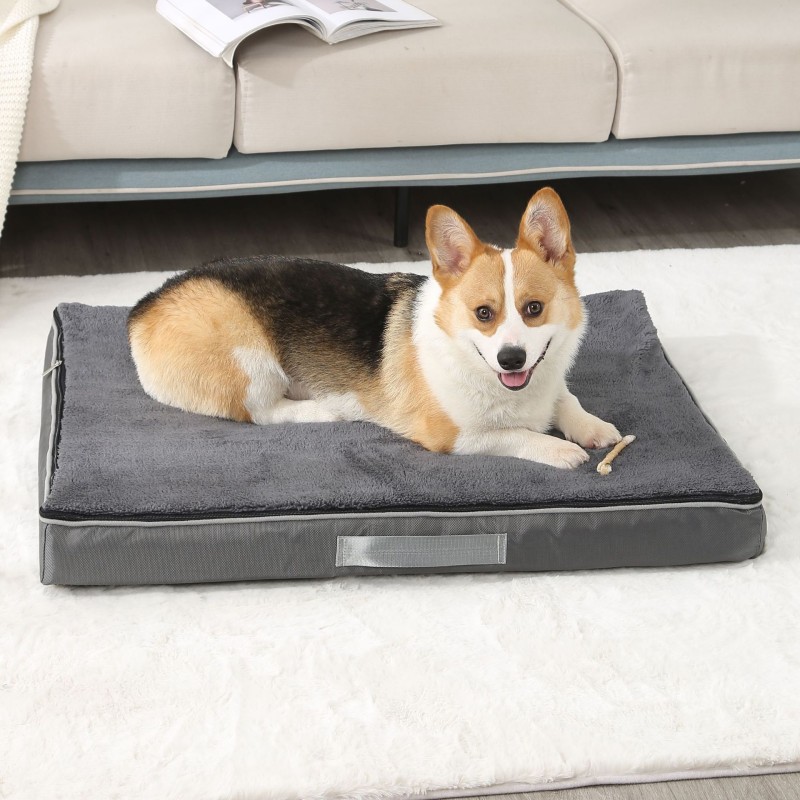 Memory Foam Dog Bed Manufacturer - All Season Removable Cover