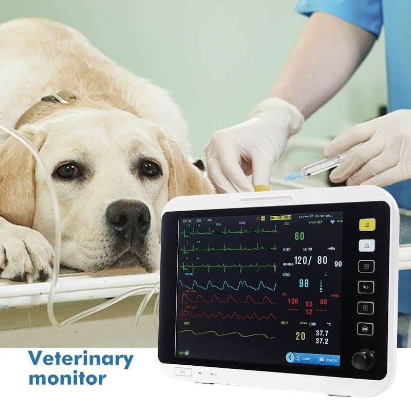 Pet Vital Signs Monitor Supplier - Veterinary Multi Parameter