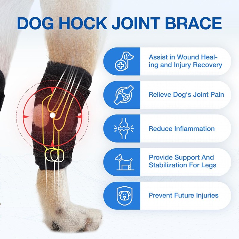 Dog Knee Brace Manufacturer - Adjustable Metal Spring Support