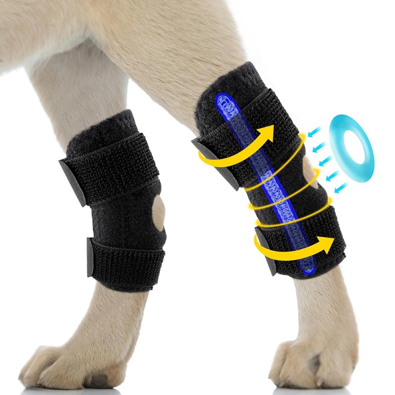 Dog Knee Brace Manufacturer - Adjustable Metal Spring Support