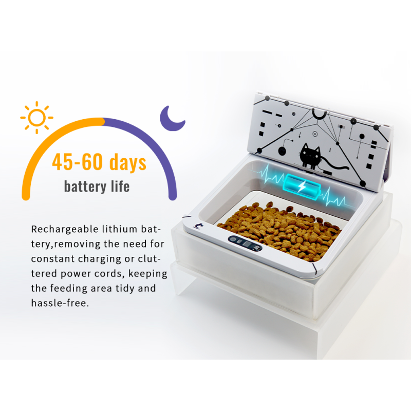 Smart Pet Feeder Supplier - RFID Elevated Sealed Lid