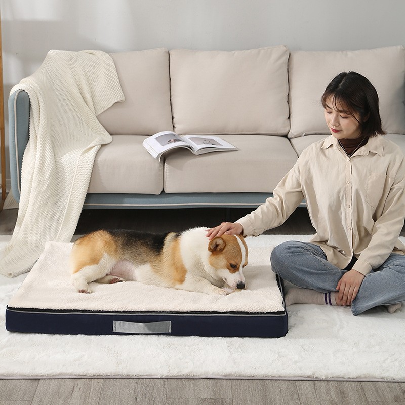 Memory Foam Dog Bed Manufacturer - All Season Removable Cover
