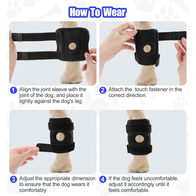 Dog Knee Brace Manufacturer - Adjustable Metal Spring Support