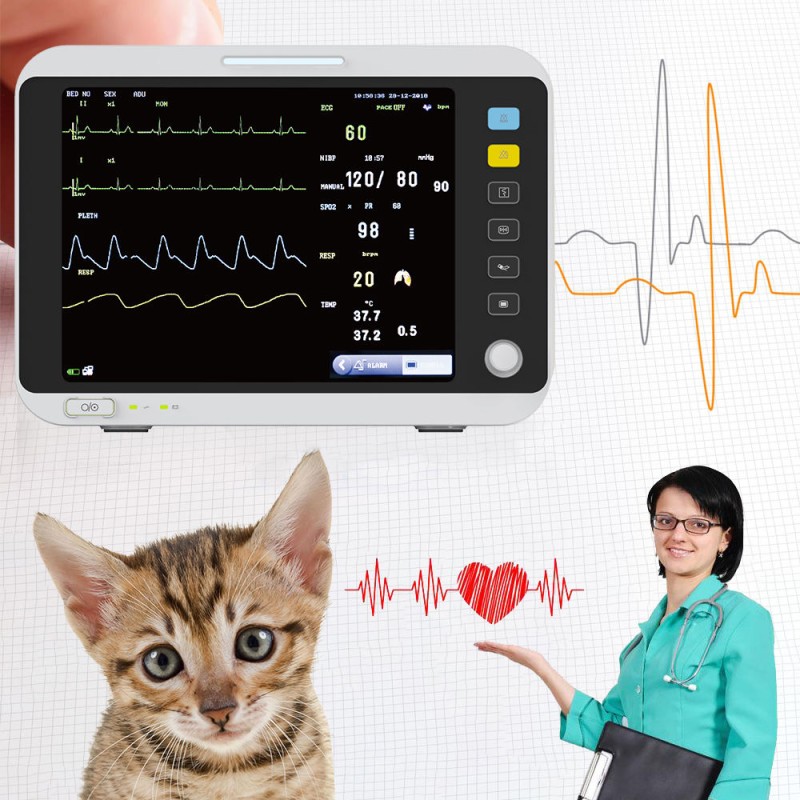 Pet Vital Signs Monitor Supplier - Veterinary Multi Parameter