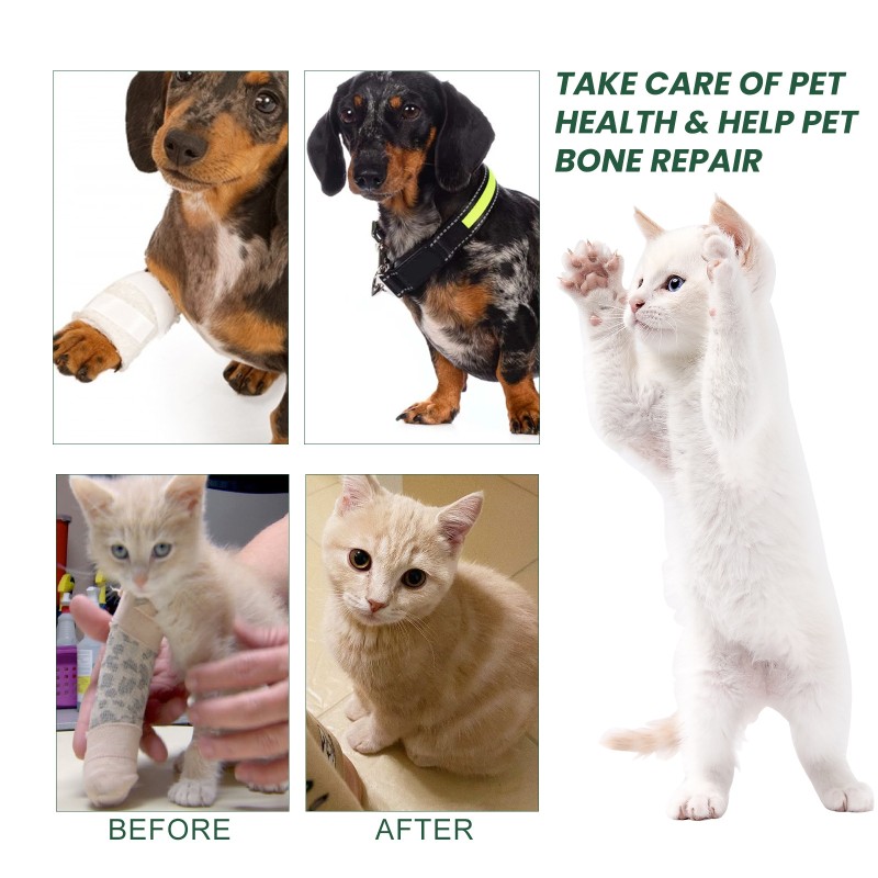 Pet Joint Care Drops Supplier - Glucosamine Chondroitin Liquid