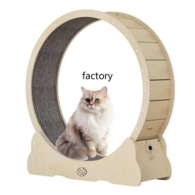 Cat Wheel Treadmill Supplier - Wholesale Exercise Running