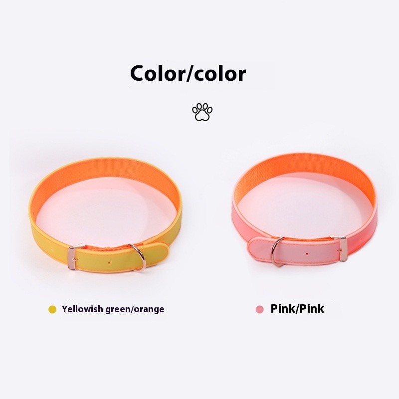 Glow Pet Collar Factory - No Charging Daylight Absorption