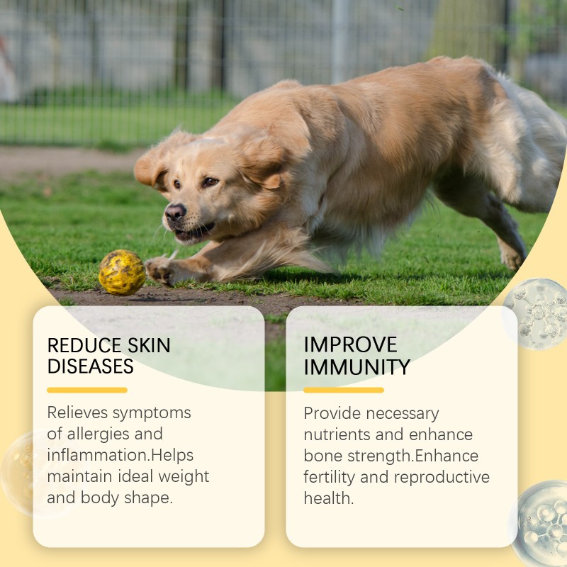 Fish Oil for Dogs Supplier - Omega 3 DHA EPA Skin