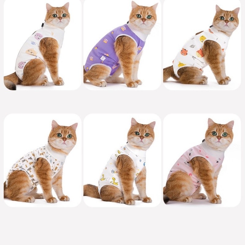 Cat Recovery Suit Factory - Wholesale Medical Adjustable