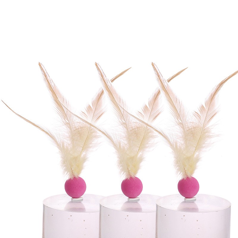 Feather Cat Toy Factory - Interactive Bouncy Chew Resistant