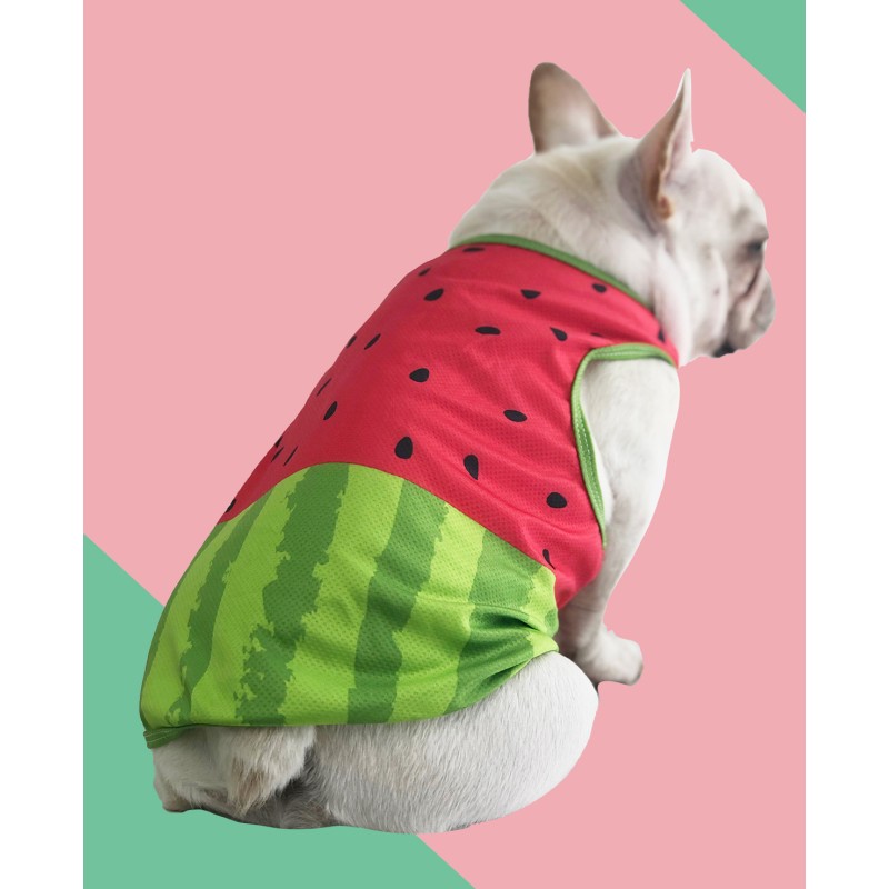 Dog Cooling Coat Manufacturer - Travel Friendly Watermelon Print