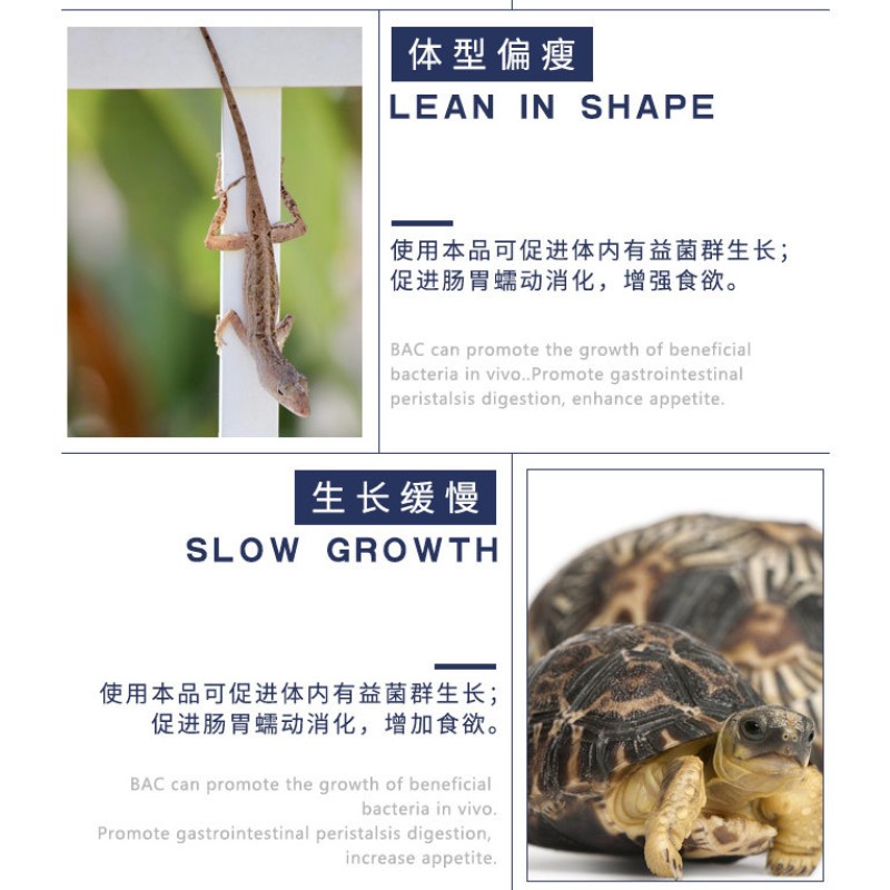 Reptile Probiotic Supplier - Wholesale Appetite Digestive