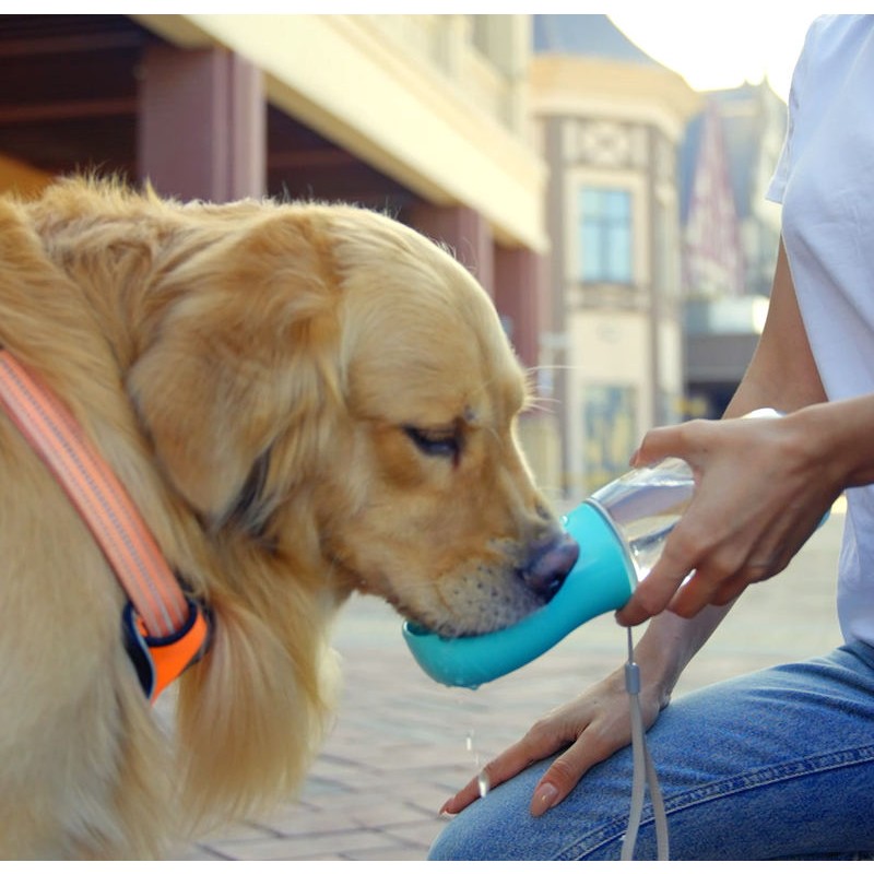 Pet Water Bottle Supplier - Travel Friendly Outdoor