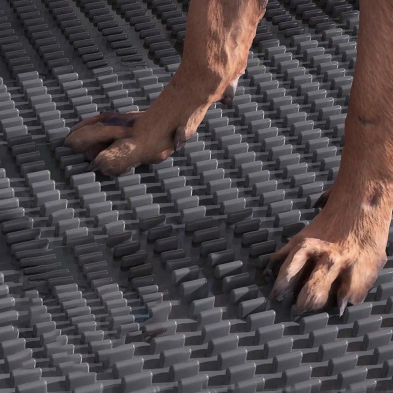 Dog Potty Solution Supplier - Anti Slip Modular Easy Clean