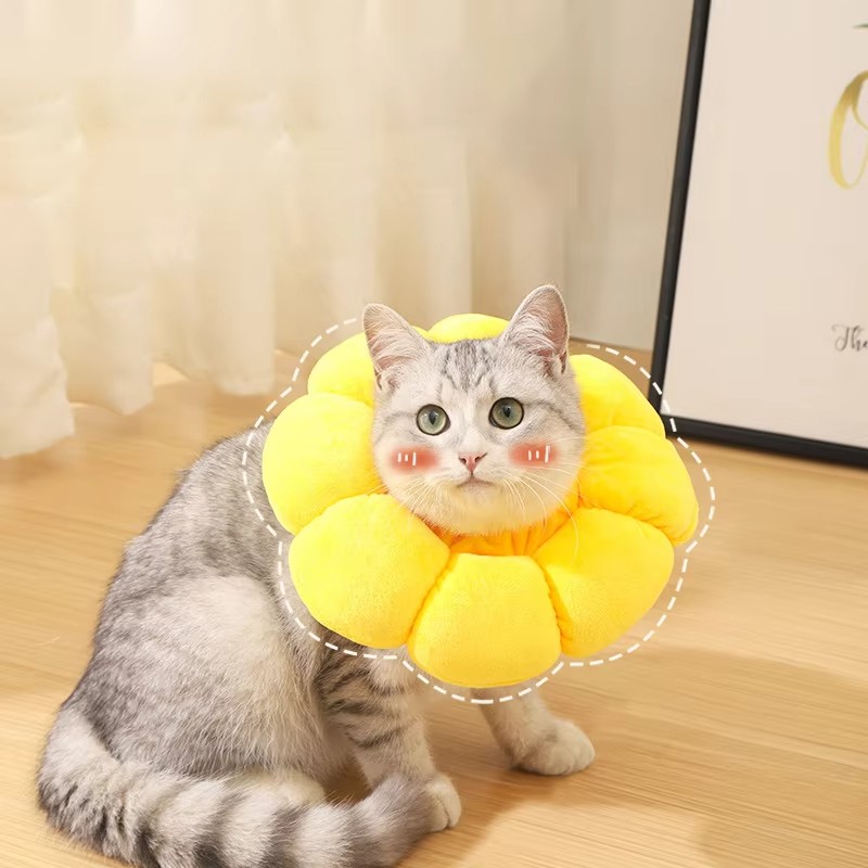 Pet Recovery Collar Supplier - Soft Flower Donut Cone
