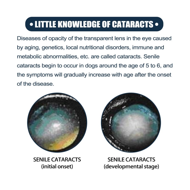 Pet Eye Drops Factory - Gentle Antibacterial Tear Stain