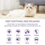 Pet Carriers & Travel Products