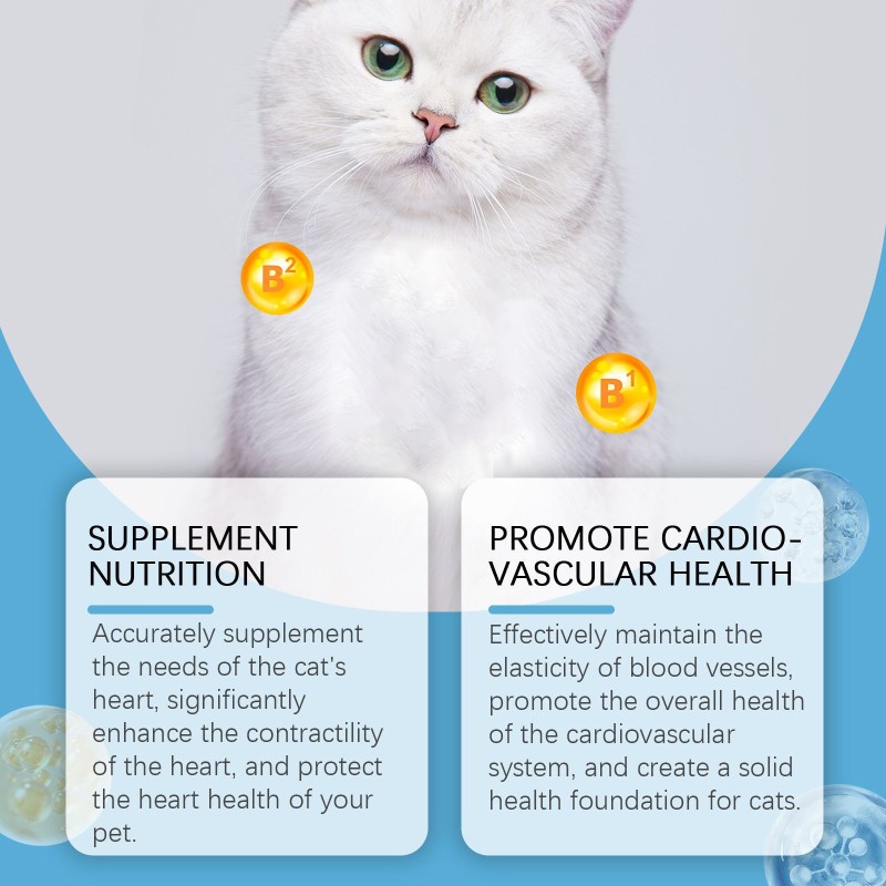 Feline Coenzyme Q10 Factory - Premium Heart Metabolism
